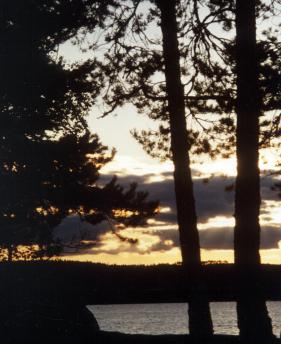 Schwedische Wildnis