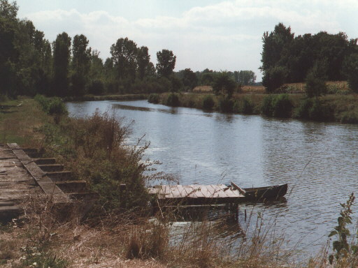 [Foto]