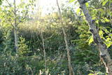 Foto 0779