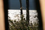 Foto 0783