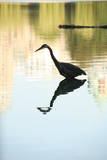 Foto 2110