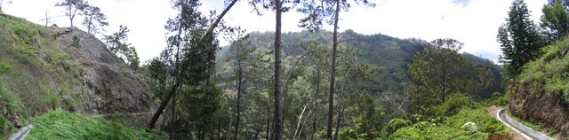 Foto 0707-0714