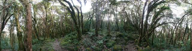 Foto 6315-6342
