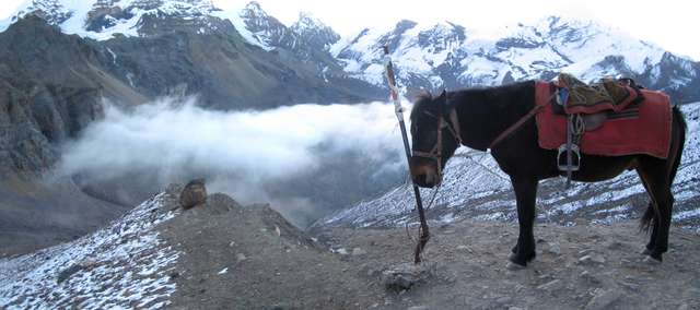 Foto i4488-4490
