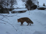 Foto 0686