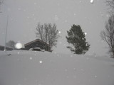 Foto 0837