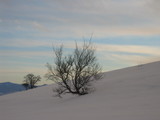 Foto 0967