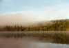 Morgennebel