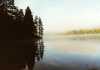 Morgennebel
