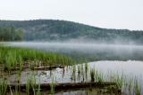 Morgennebel �ber dem V&auml;stra Silen