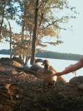 Die Ente ``Fiete''