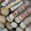 Holzvorr&auml;te
