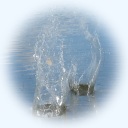 Foto 3610