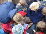 Foto 3769
