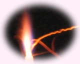 Foto 6298