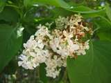 Foto 5495