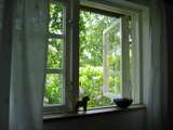 Foto 5256