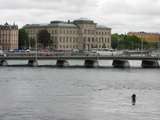 Der hat wohl im Wasser des Norrström irgendwas verloren (hinten: Strömbron und Nationalmuseum) Foto 5065