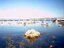 Der Hafen von Monterey