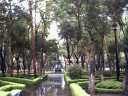 Park im Regen