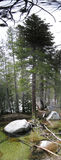 Photo 2227-2230