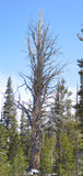 Photo 2326-2327