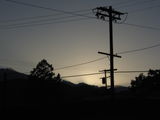 Photo 2486
