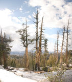 Photo 7192-7194