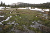 Photo 7285