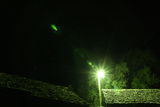 Photo 7724