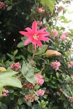 Photo 7860