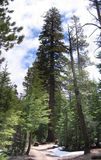 Photo 2337-2338
