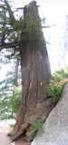 Photo 2368-2370