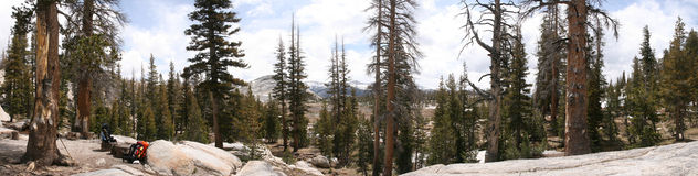 Photo 7274-7281