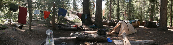 Photo 7482-7485